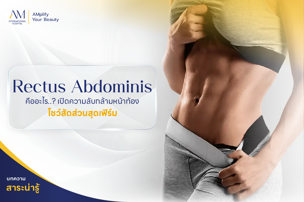 rectus abdominis คือ